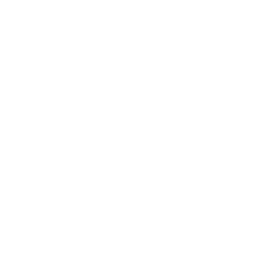 Secure payments icon white